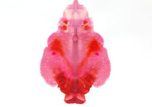 vulva_paper_17_21 x 29,7 cm